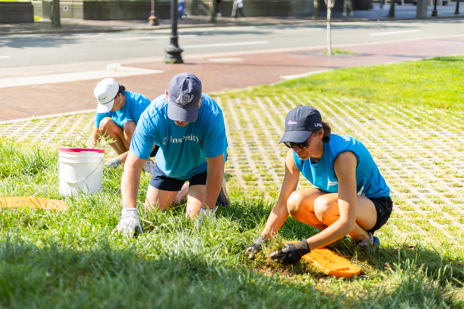 Board oversight in meeting